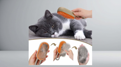Steamy brush pets