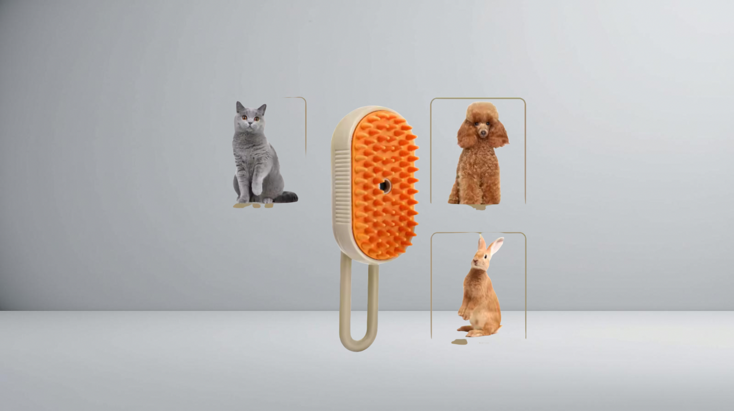 Steamy brush pets