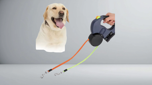 PawLead