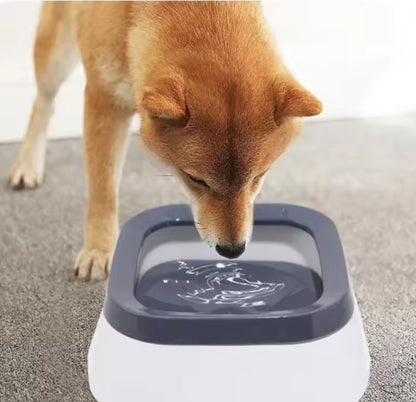 pet water bowl